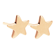 Picture of Gold Star Stud Earrings